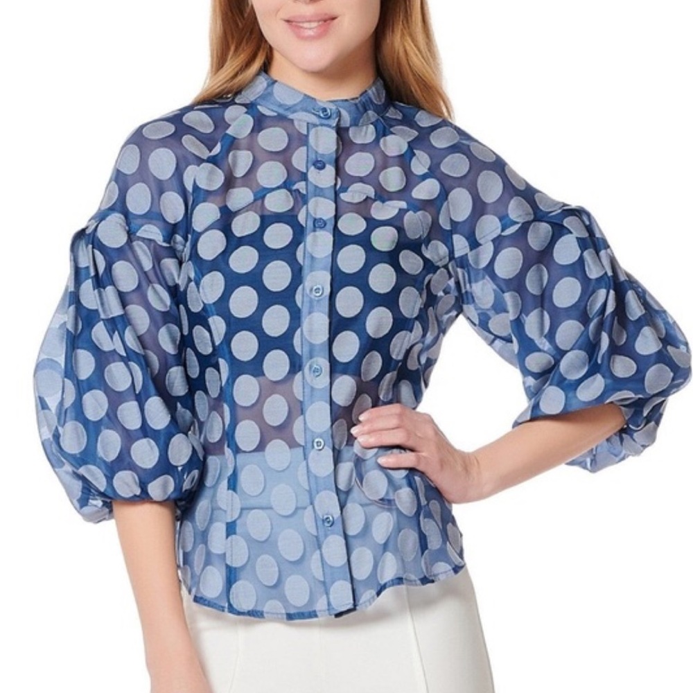 *NWT Gracie Sheer Polka Dot Paneled Button Up with Puff Sleeve Blouse Blue Large
